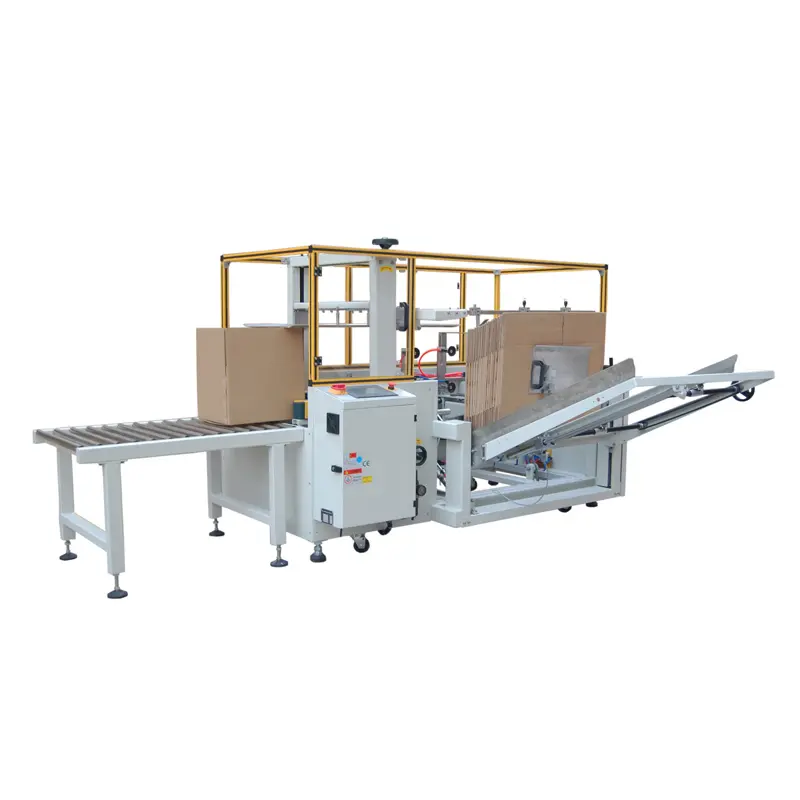Máy tạo hình và dán đáy thùng carton